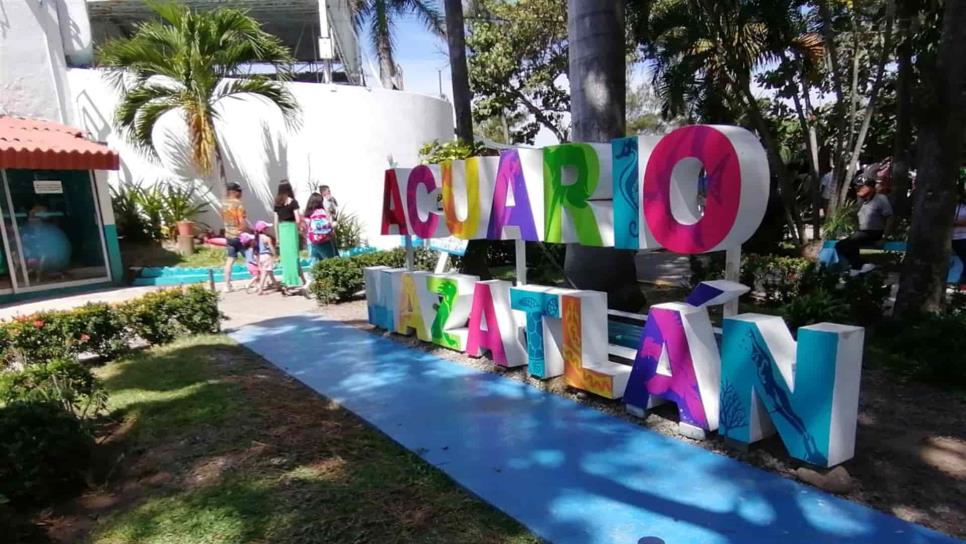 Acuario de Mazatlán contará con un pingüinario