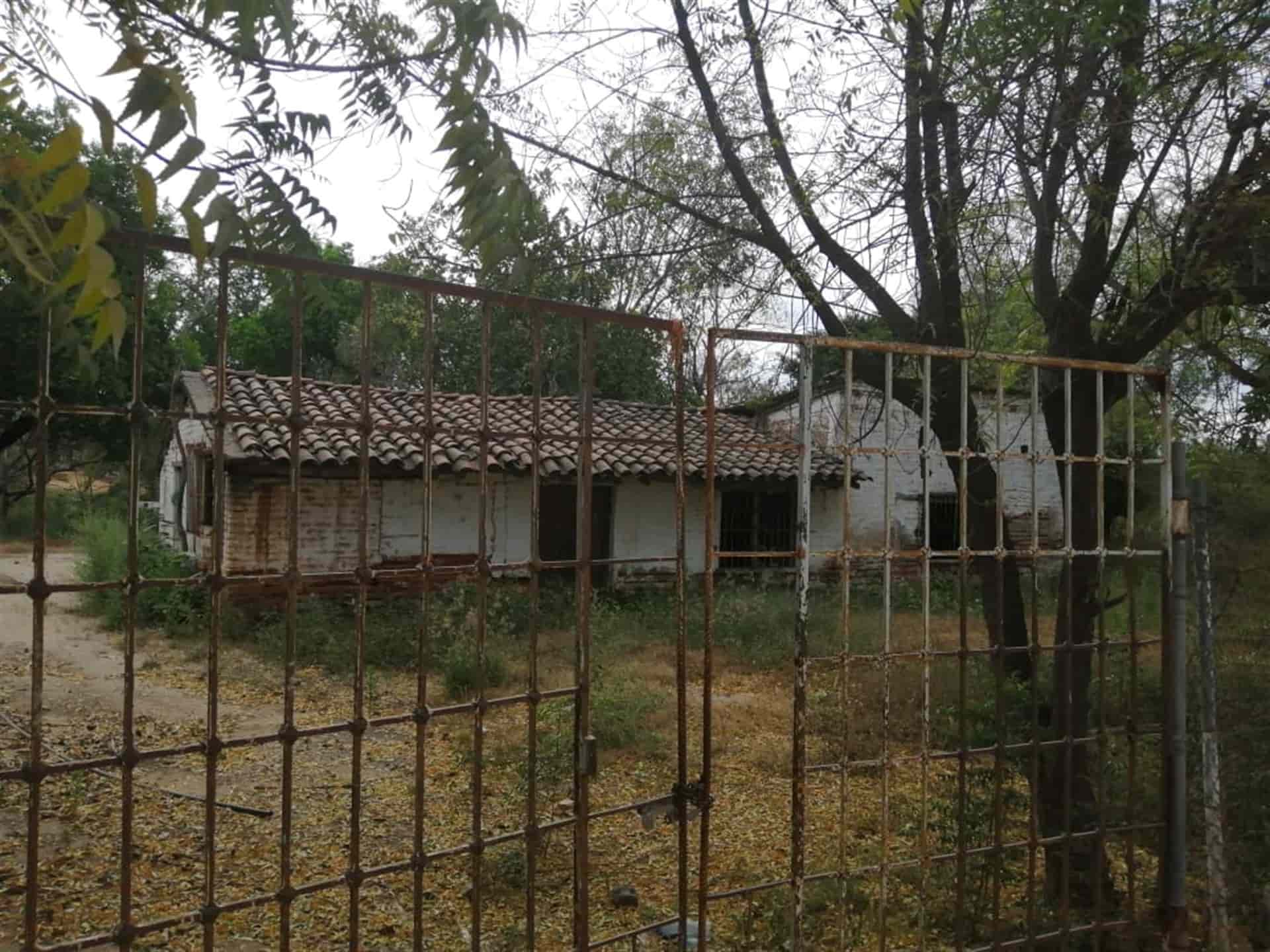 FOTO: Víctor Acosta.