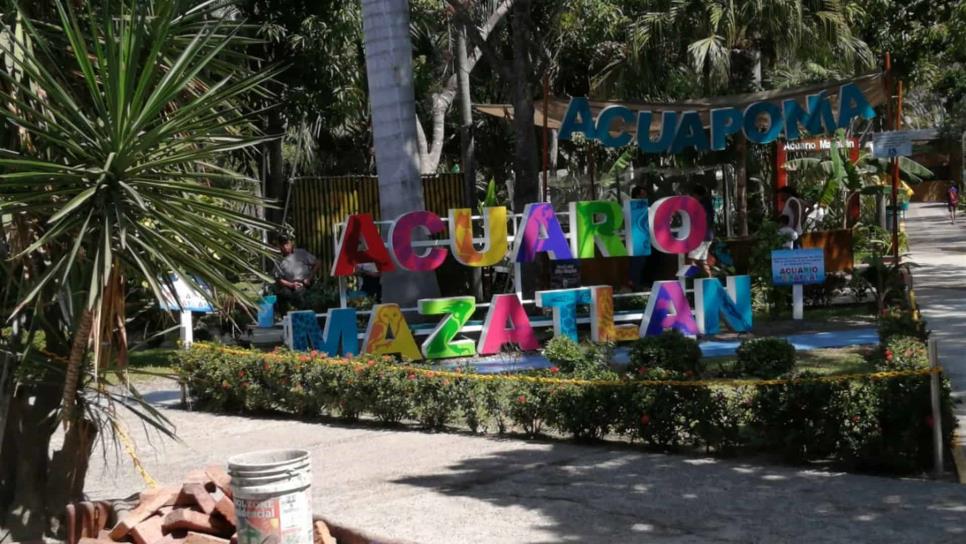 Acuario de Mazatlán suspende Niñez con el mar ante alerta de covid-19