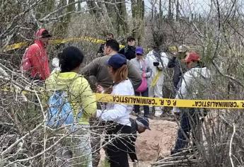 Rastreadoras localizan seis cuerpos en Juan José Ríos