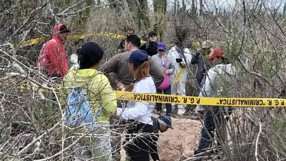 Rastreadoras localizan seis cuerpos en Juan José Ríos