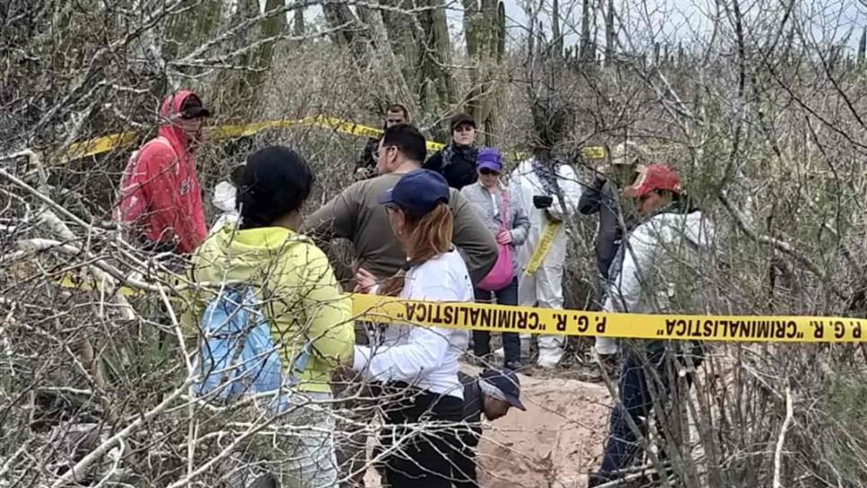 Realizan búsqueda federal y encuentran 6 cuerpos más en El Guachapori