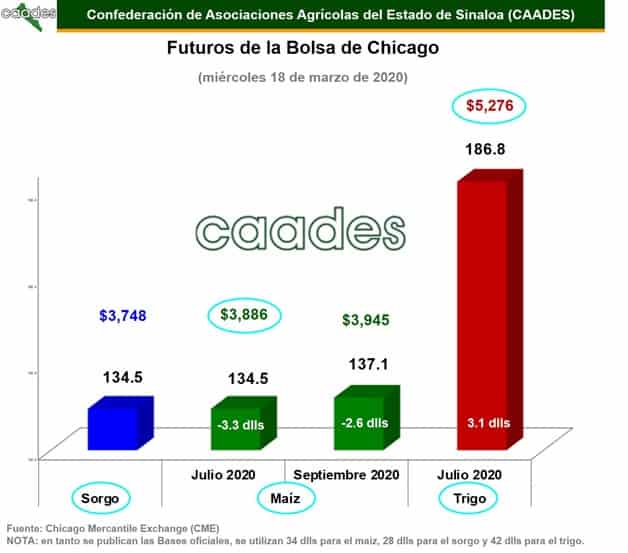 Imagen Placeholder