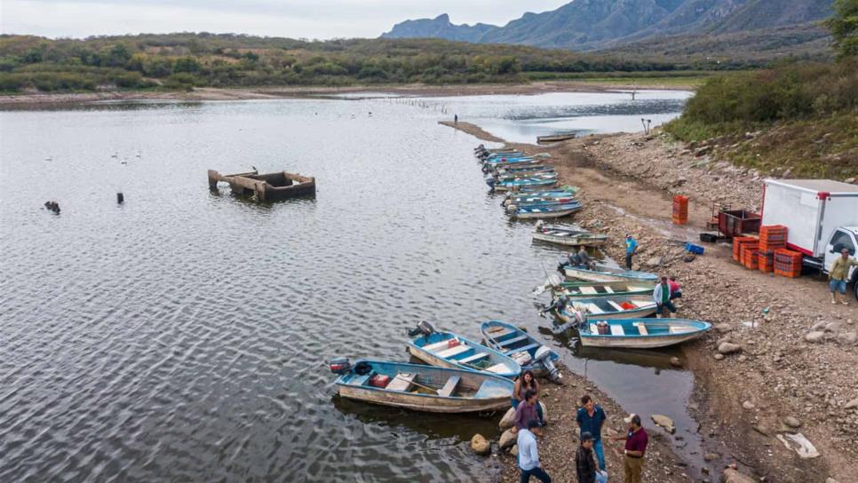 BienPesca debe ser para todos los pescadores de Sinaloa: Sergio Torres