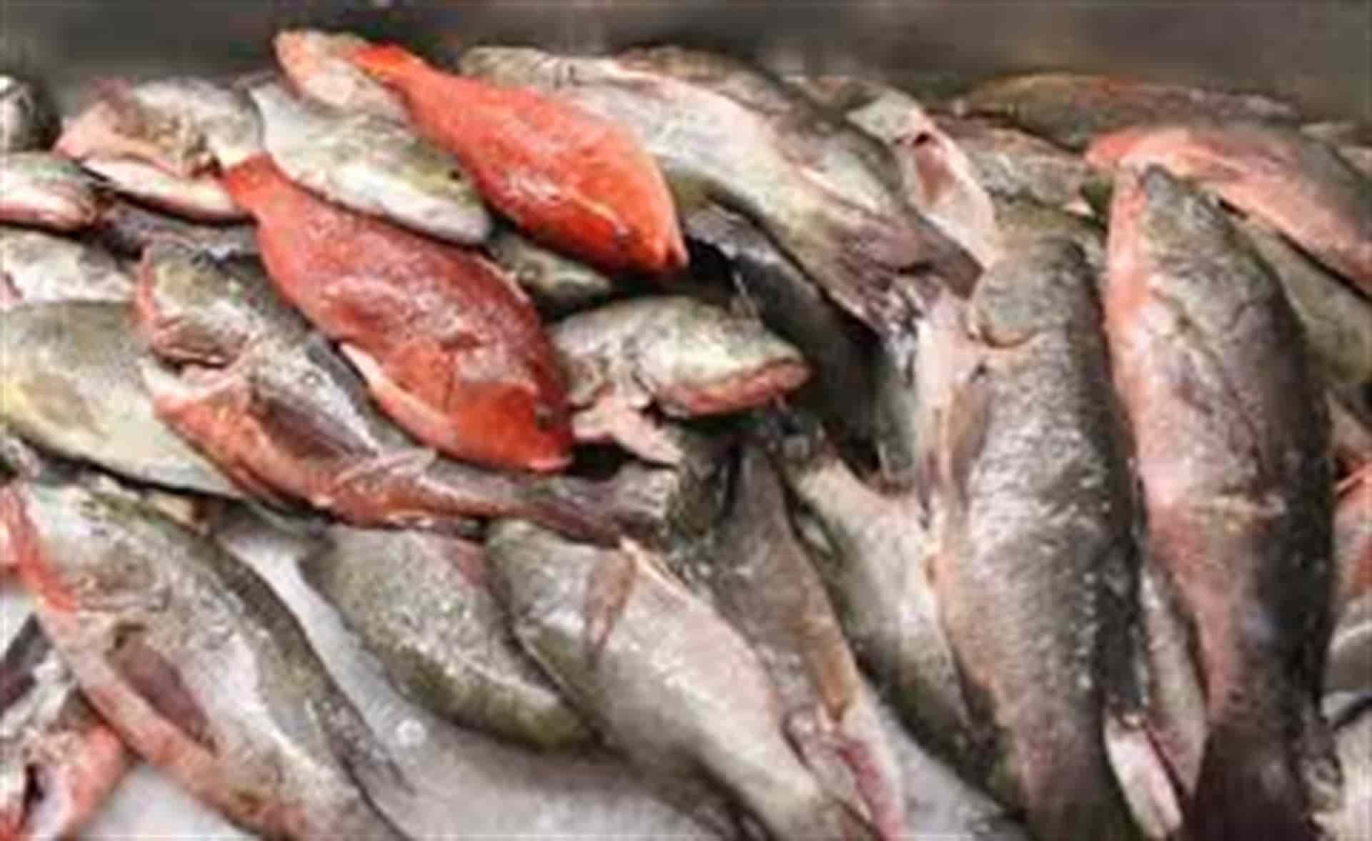 Mantiene Coepriss operativo de vigilancia sanitario “Cuaresma” ante Covid-19