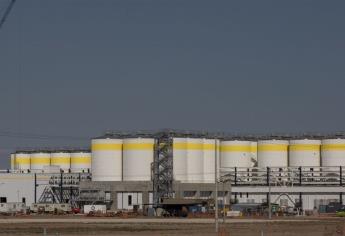 Estamos listos para conversar con AMLO: Constellation Brands