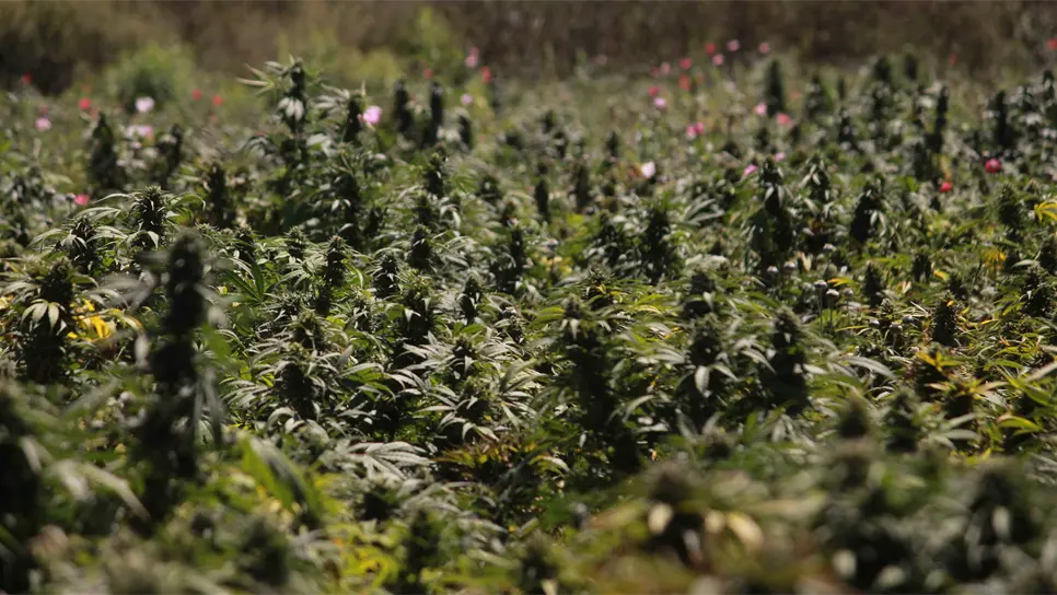 FOTO: Luz Noticias | Archivo.