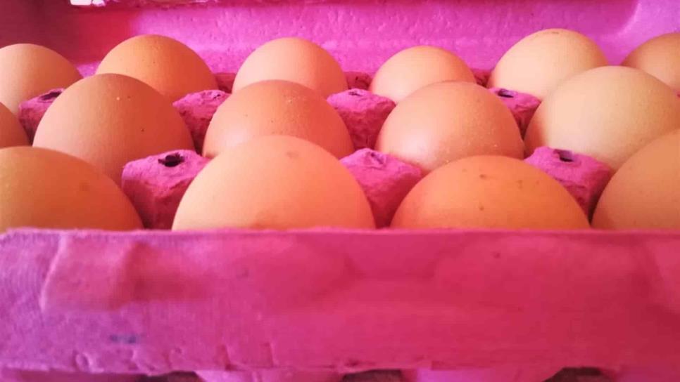 En Mazatlán alertan por supuesta comercialización de huevo contaminado