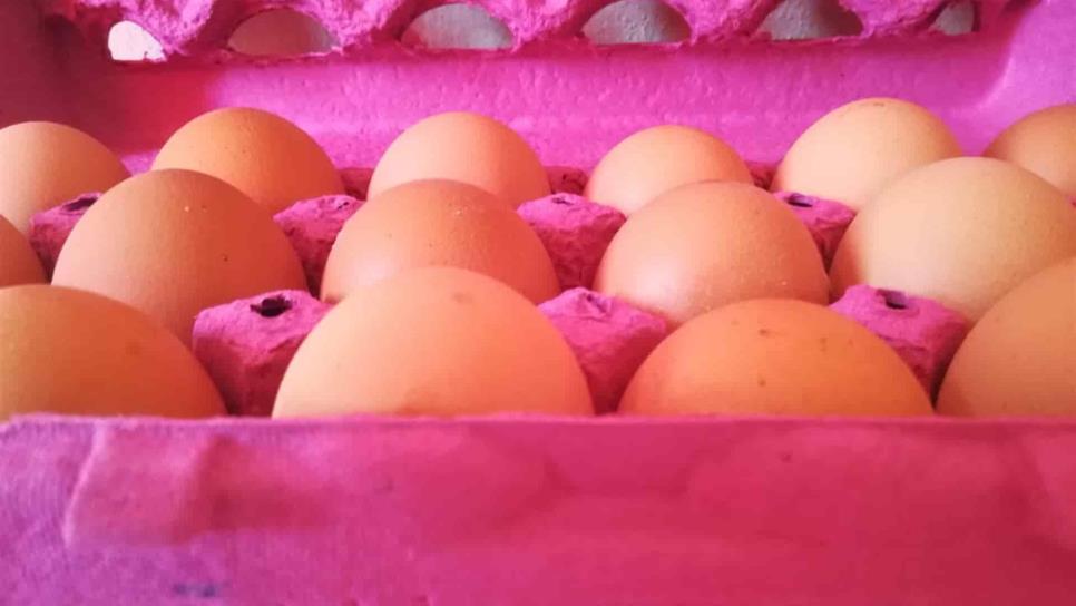Profeco investiga incremento en el precio del huevo