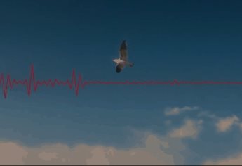 Pearl Jam lanza sencillo “Quick escape”, acompañado de un videojuego