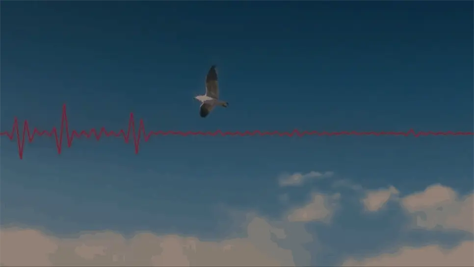 FOTO: Captura video de Pearl Jam.