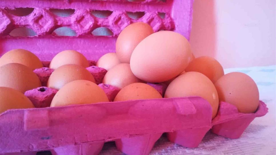 Avicultores donan un millón de huevos cada 15 días a Segalmex