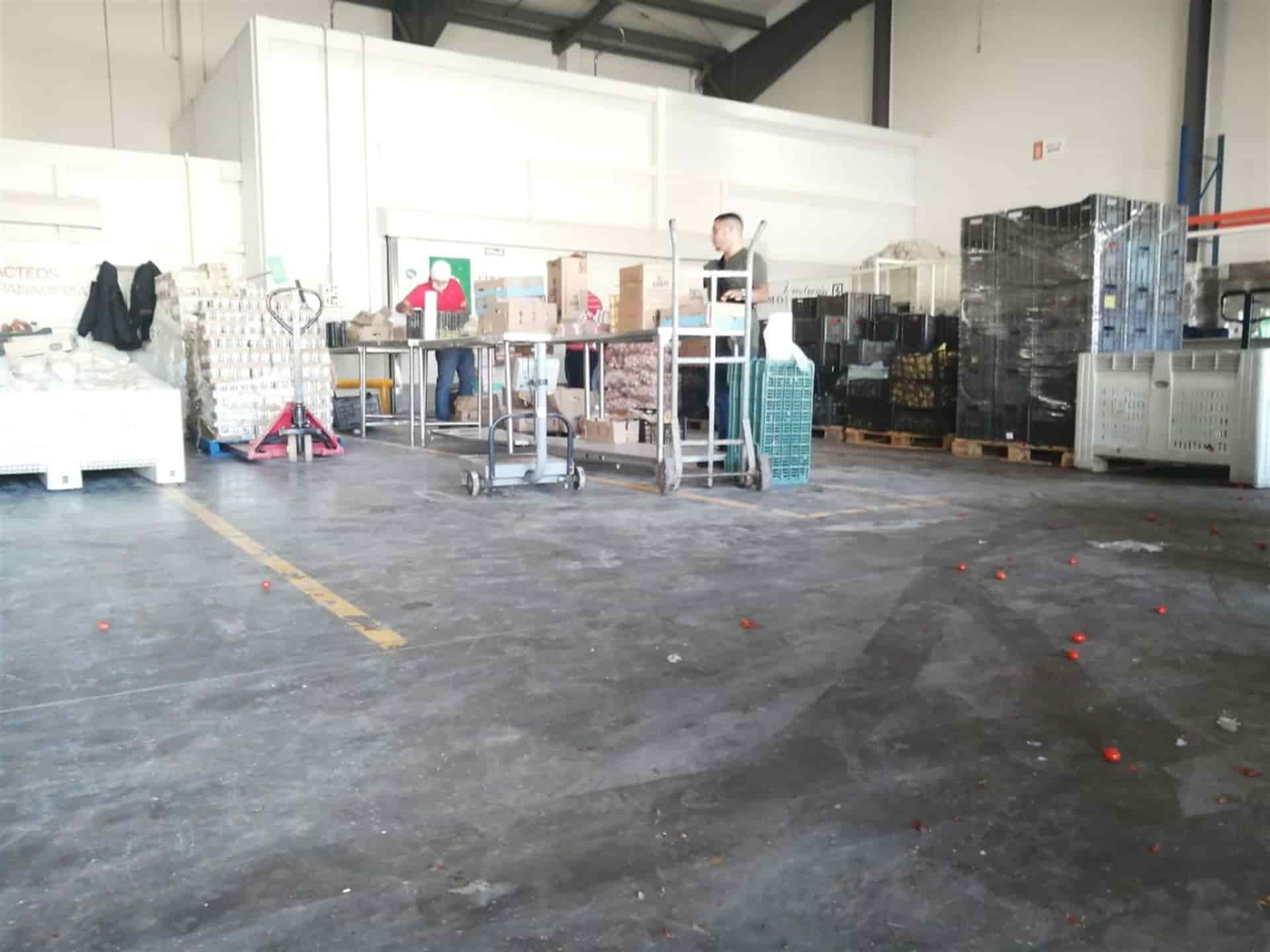 Invita Banco de Alimentos de Los Mochis a empresas donar alimentos en caso de cerrar