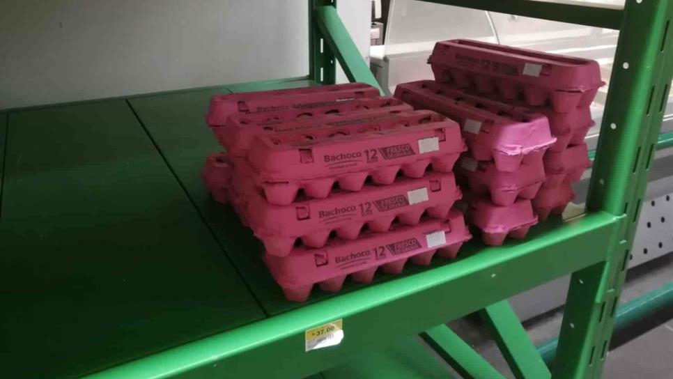 Dólar impactó 20% en el precio del huevo: avicultores