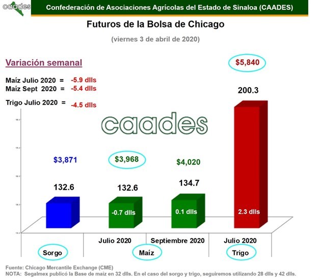 Imagen Placeholder