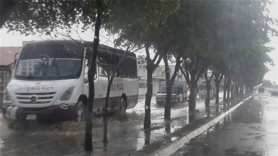 FOTO: Luz Noticias | Archivo.