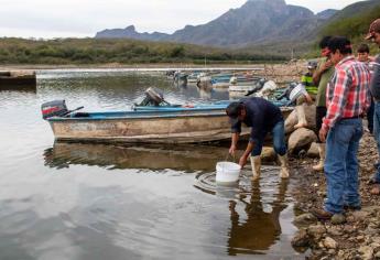 Acuacultores de Sinaloa se manifestarán este lunes