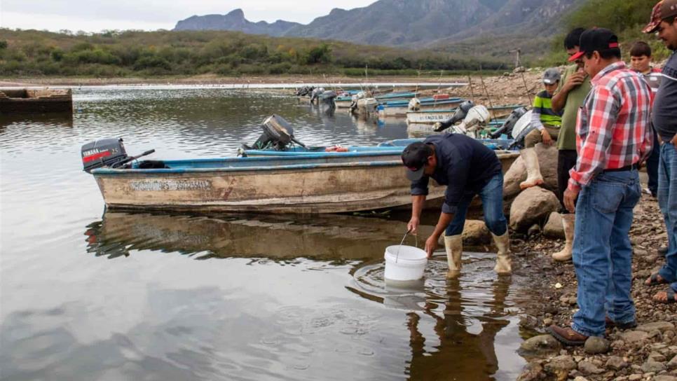 Acuacultores de Sinaloa se manifestarán este lunes