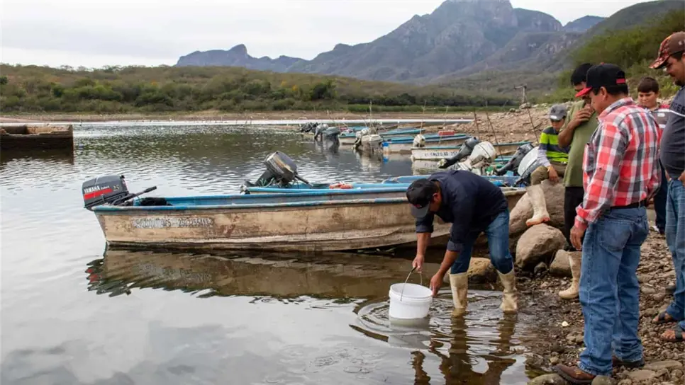 Diputado confía que a nivel federal adecuarán el paquete económico 2021 para la agricultura