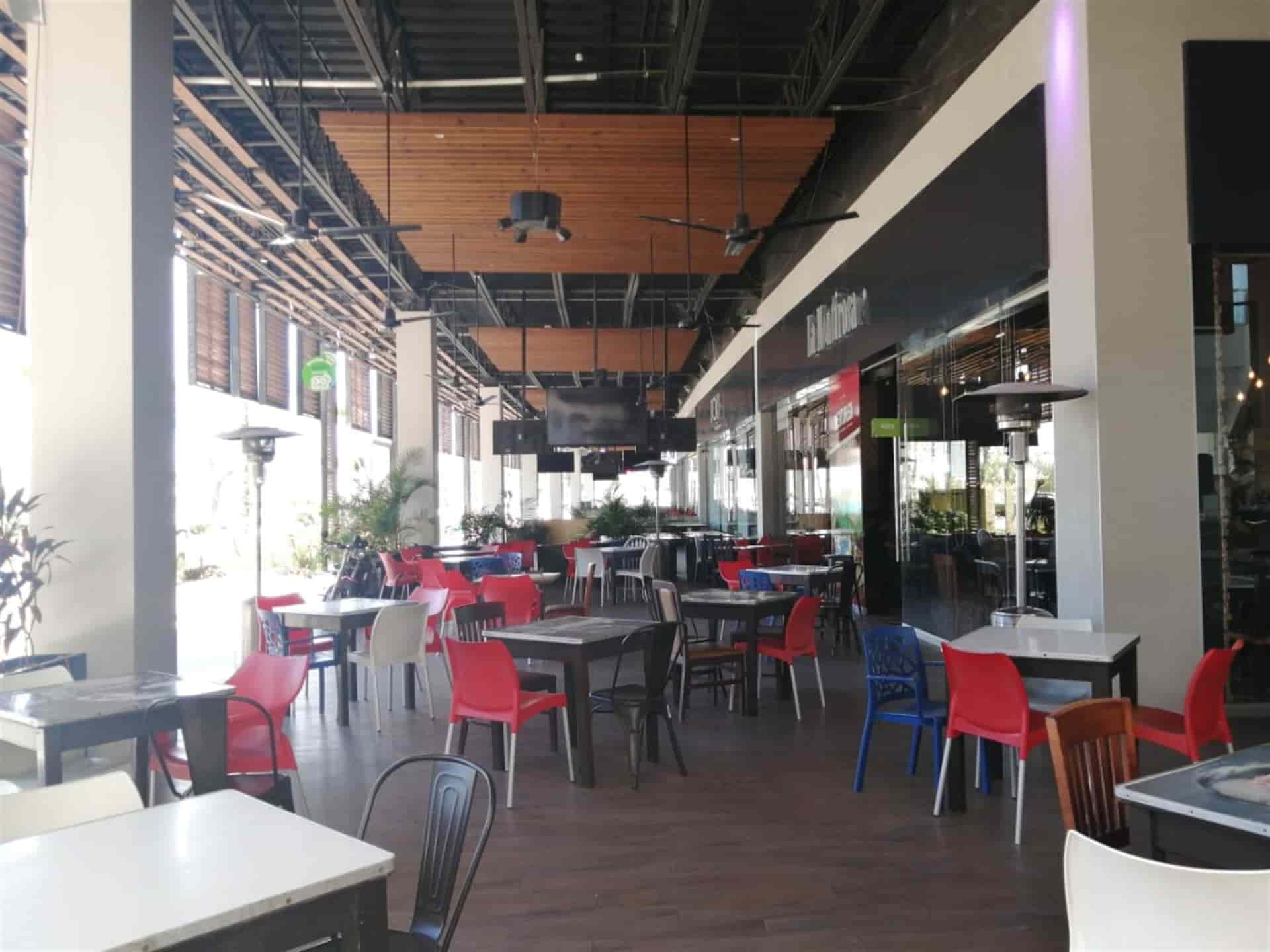 FOTO: Luz Noticias | Temática.