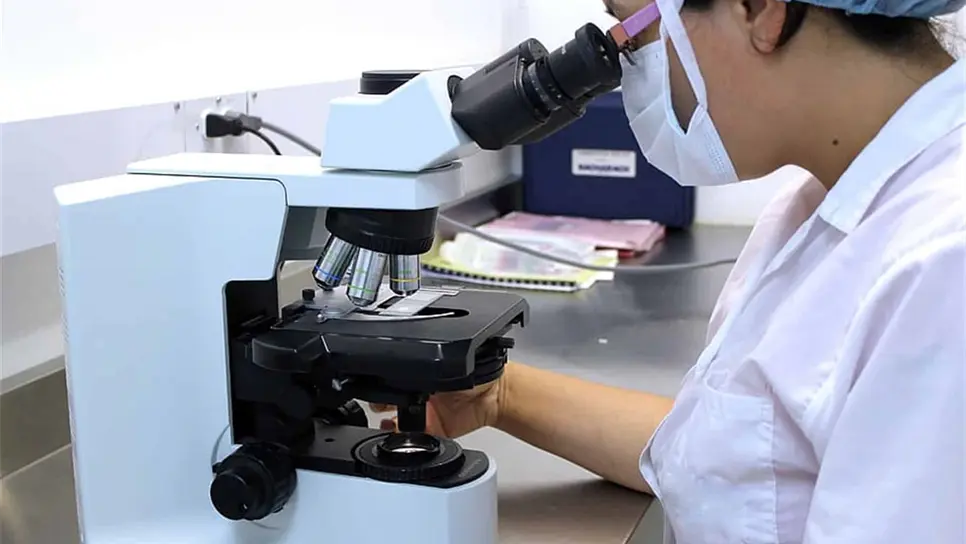 Científicos mexicanos desarrollan prueba rápida de Covid-19