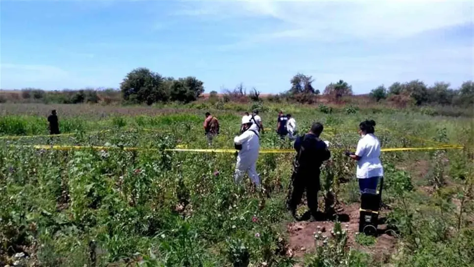 FOTO: Cortesía.