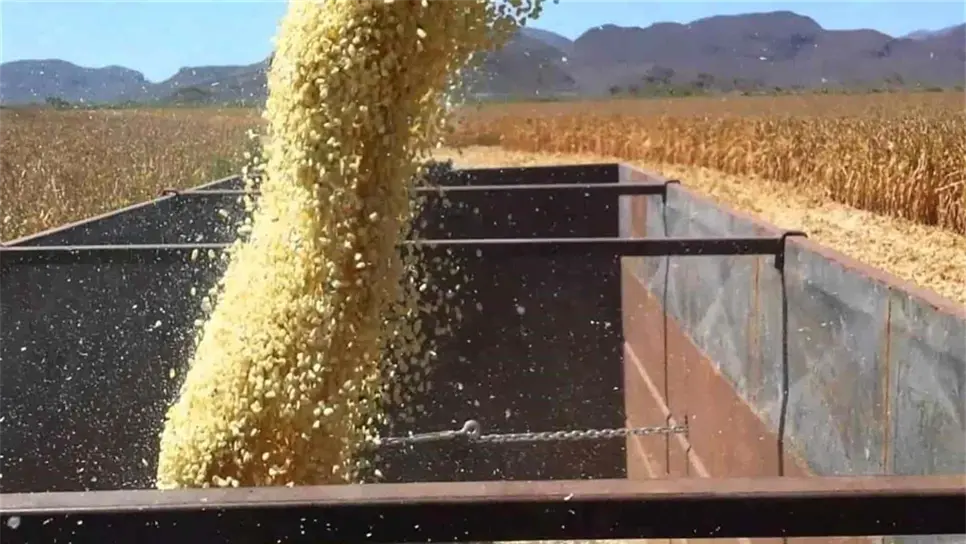 FOTO: Luz Noticias | Archivo.