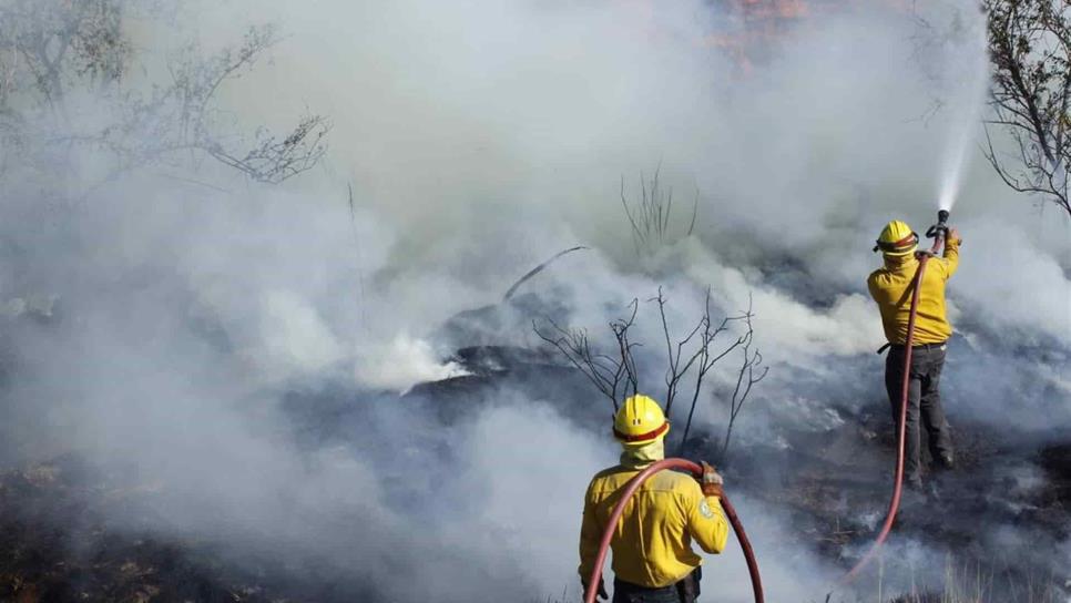 Van 11 incendios forestales en Sinaloa