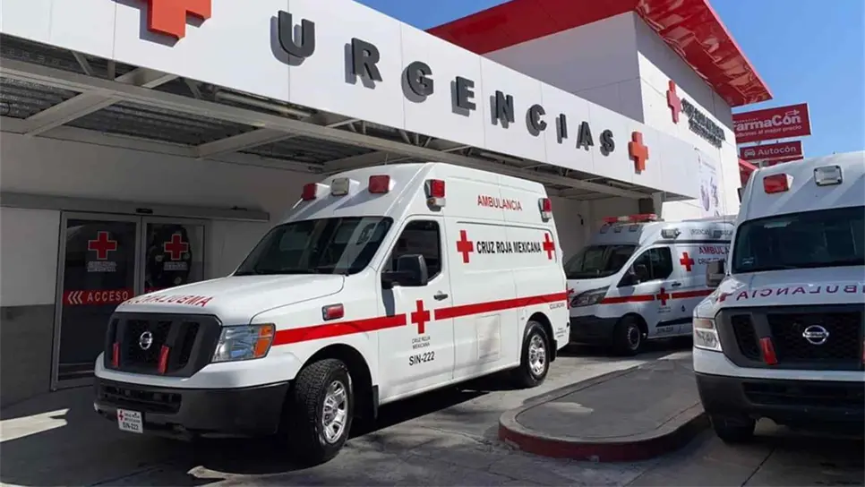 FOTO: Temática | Luz Noticias.