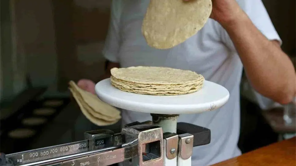 FOTO: Temática | Luz Noticias.