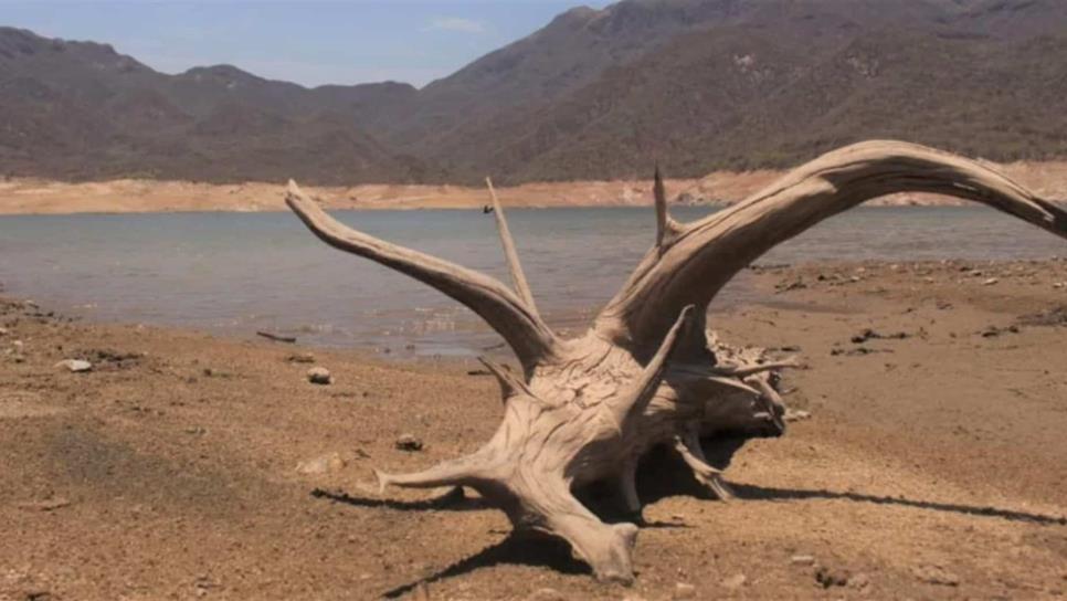 Se suman tres ejidos más al panorama de sequía en Choix