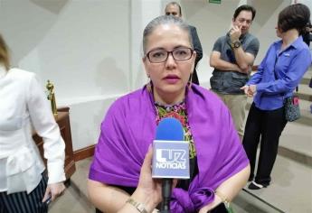 Ley de Amnistía apoyará a inocentes y no a delincuentes: Graciela Domínguez