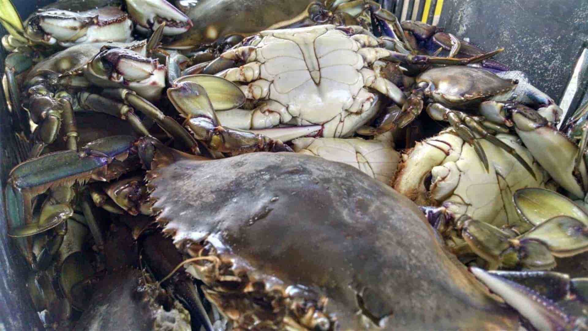 FOTO: Luz Noticias | Archivo.