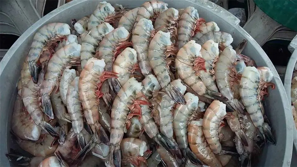 FOTO: Archivo Luz Noticias.