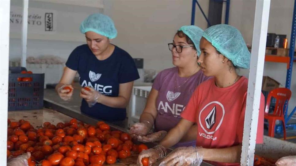 Banco de Alimentos invita a sumarse a la colecta Alimenta