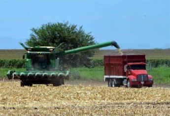 Segalmex meterá el power a pagos de productores