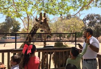 Sólo el 10 % de los trabajadores del ZOO de Culiacán se encuentra activo