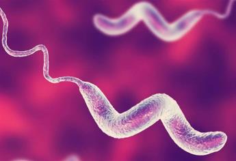 Agricultura intensiva podría aumentar riesgo de epidemias: estudio