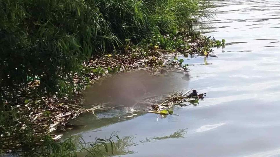 Localizan a hombre muerto en la Bocatoma de San Blas