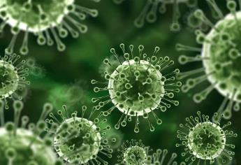 Nipah, el virus que preparó a la India para el Covid-19