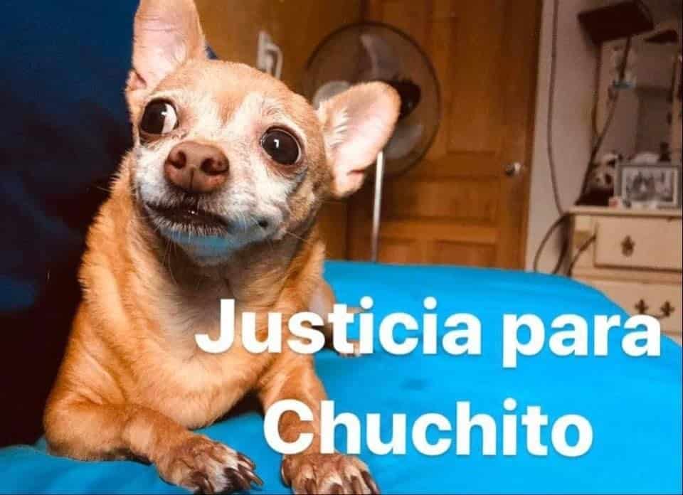 Chuchito murió 24 horas después de ser abusado.