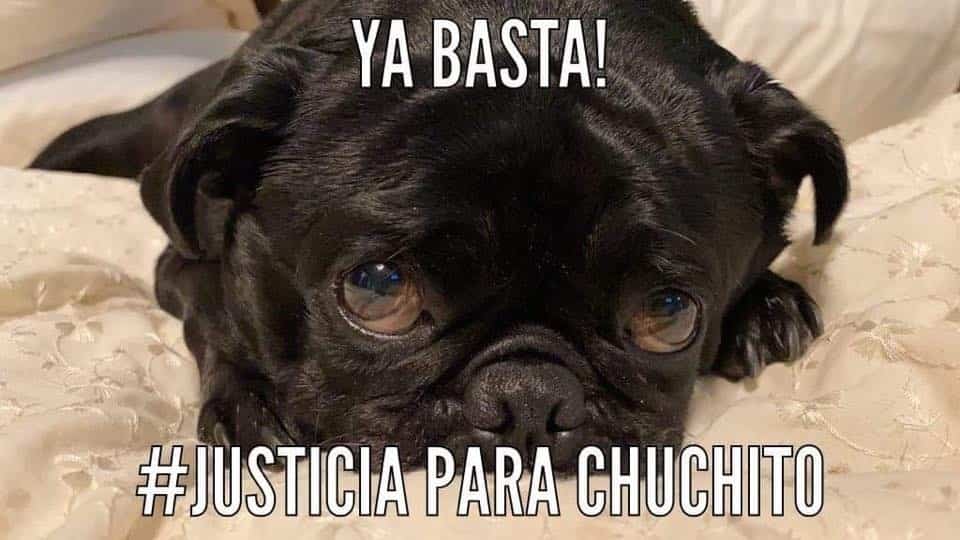 Chuchito murió 24 horas después de ser abusado.