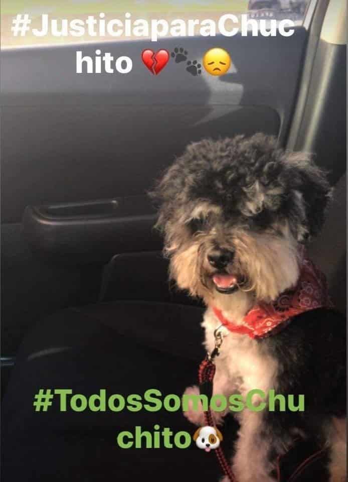 Justicia para Chuchito.