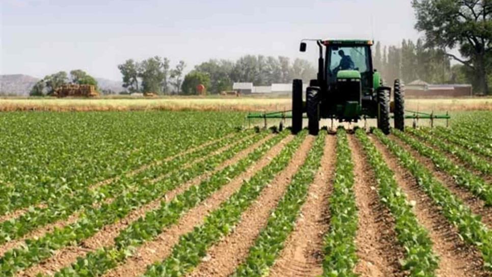 Sinaloa pide dos ciclos agrícolas sin restricciones de agua