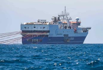Greenpeace denuncia bombardeos acústicos en mar argentino