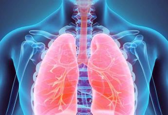 La discinesia ciliar primaria ocasiona infecciones respiratorias