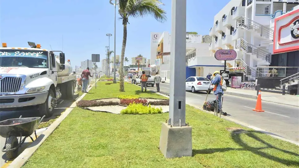 Avanza en un 90% embellecimiento del camellón de la Avenida del Mar