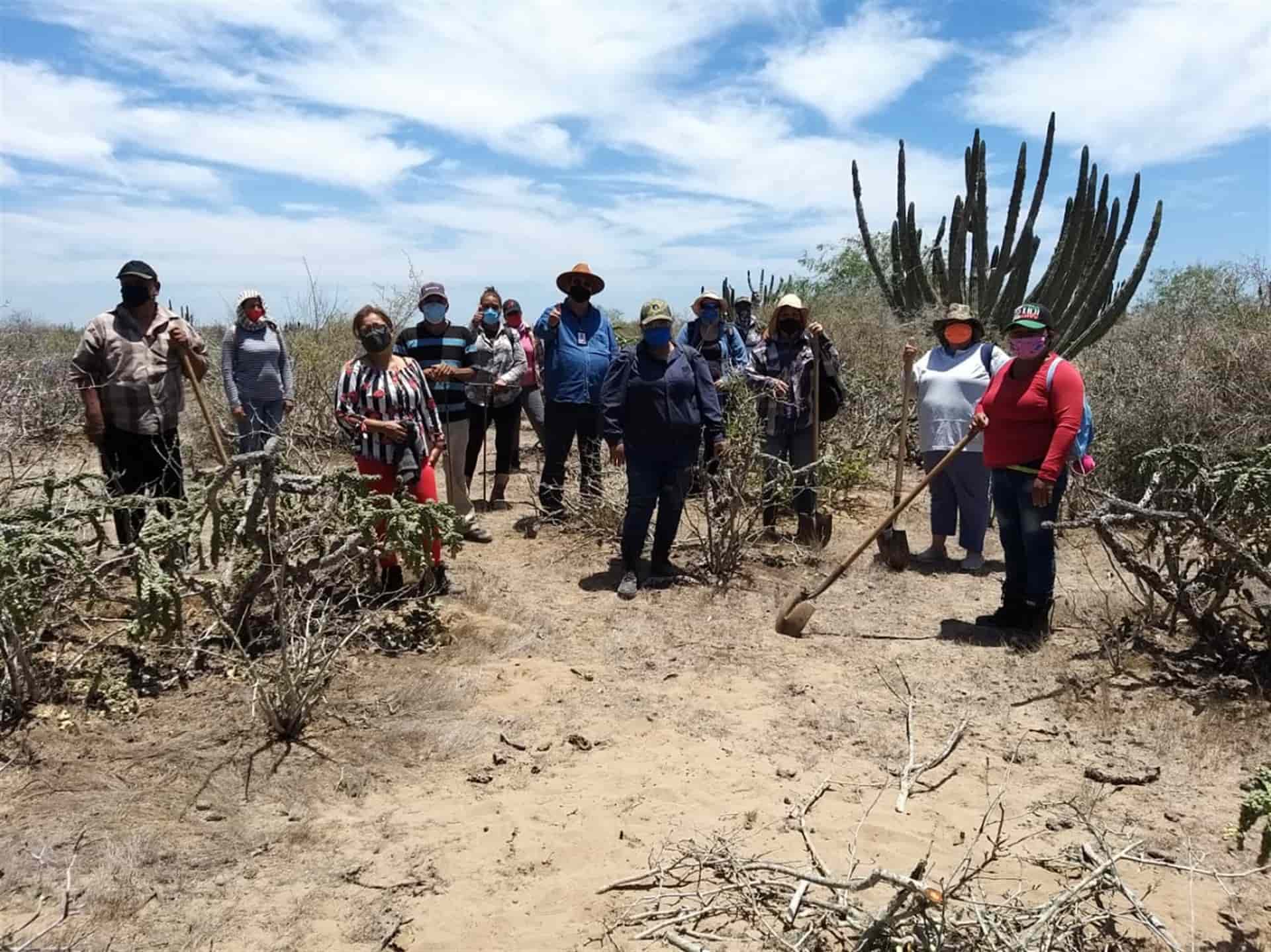 Integrarán Comité Municipal de Búsqueda de Personas Desaparecidas en Ahome