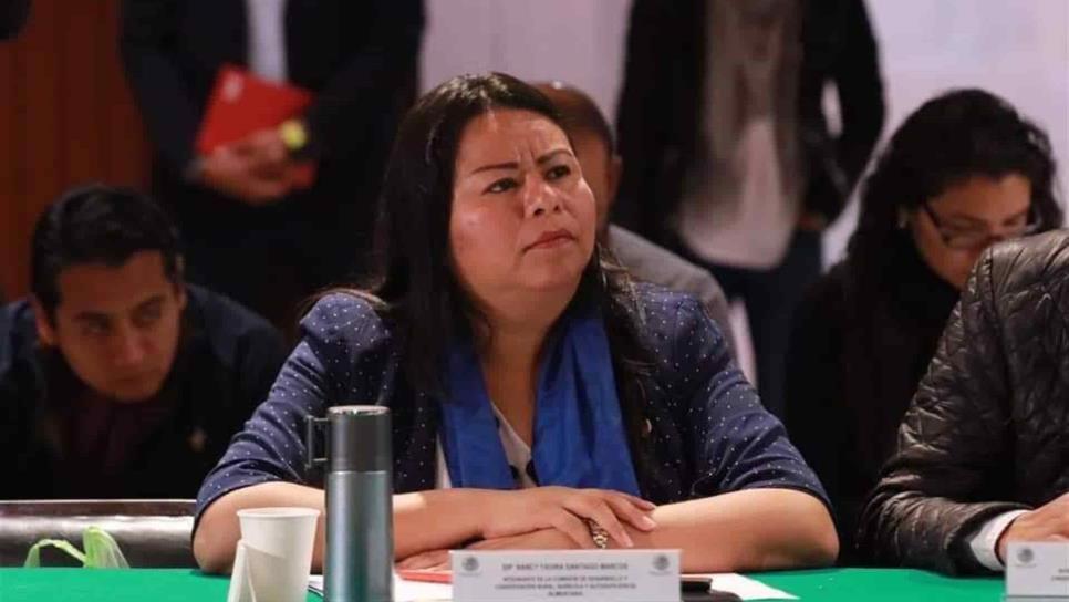 Empresarios deben comprender que la prioridad de AMLO es fortalecer la CFE: Yadira Marcos