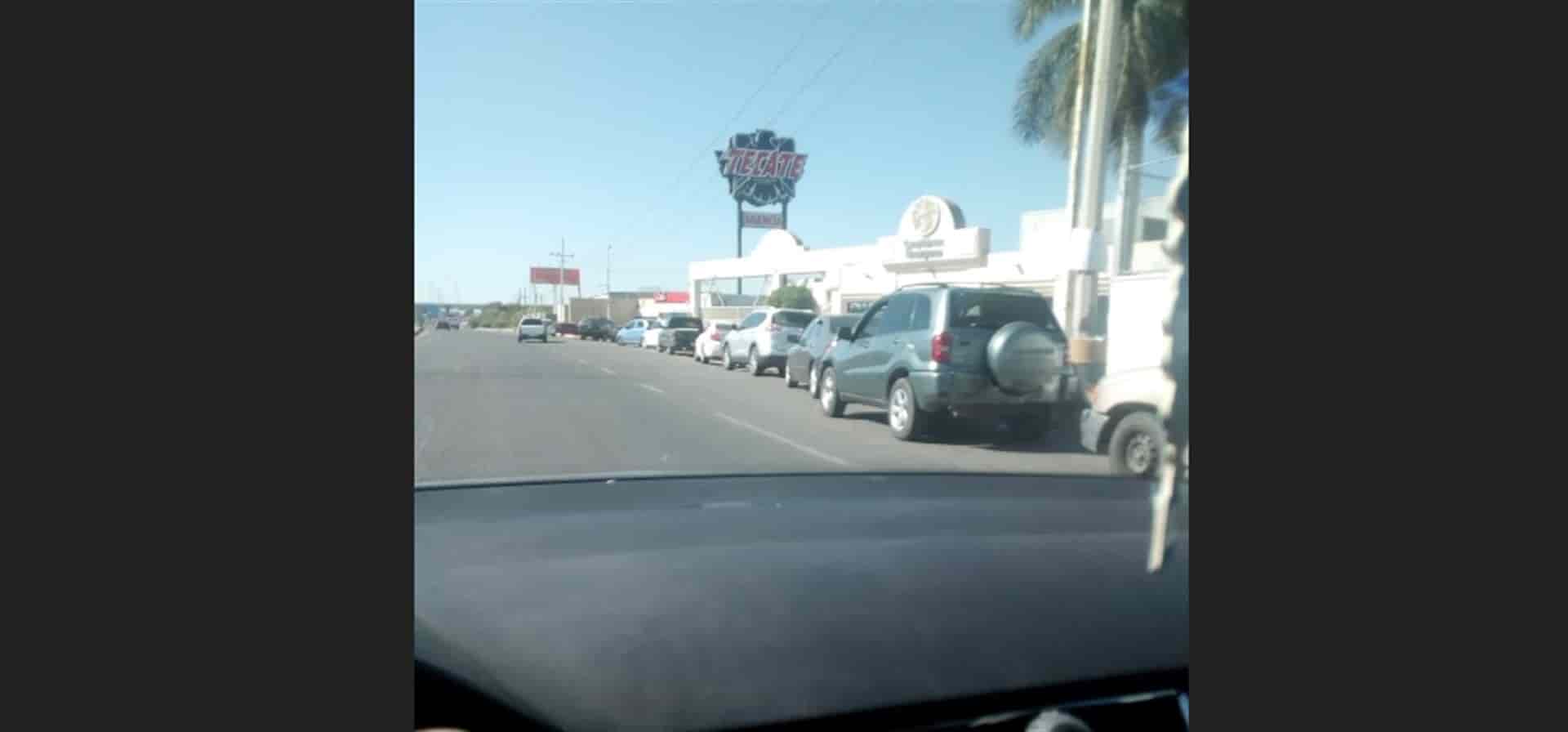 FOTO: Cortesóia